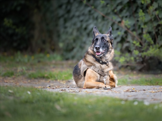 Exemple de shooting photo par Fabien à Calais