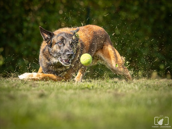 Photo n°48 - photographe Fabien