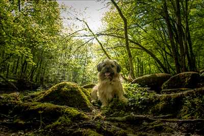 photo n°24 - shooting photo - Elora à Poitiers