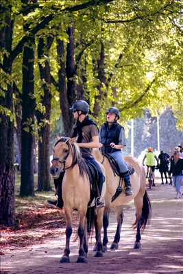 photo n°6 du photographe Lyes - Paris