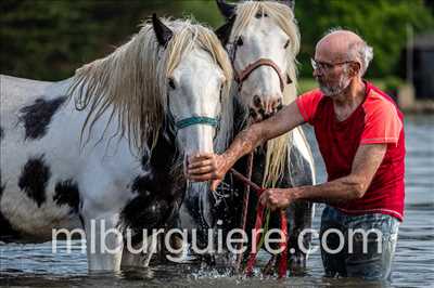 photo n°92 de Marie-Line photographe à Hennebont